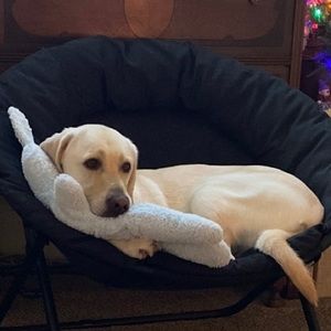 Meet your Posher, Patricia